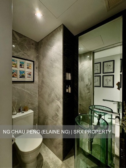 St. Regis Residences (D10), Apartment #538987101